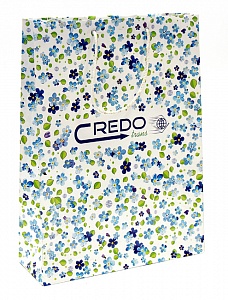 Бумажный пакет "Credo Trans"