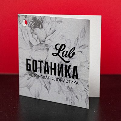 Картонные бирки для Ботаника Lab